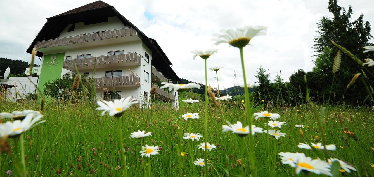 Hotel Fuxxbau Fischerbach Kültér fotó